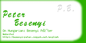 peter besenyi business card